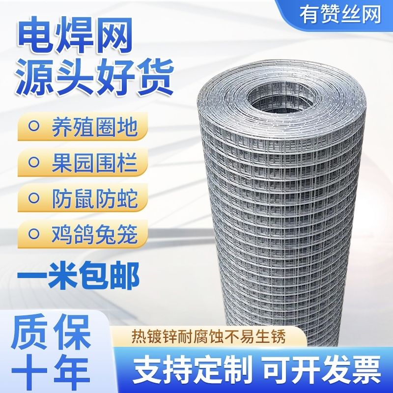 热镀锌铁丝网围栏养殖网栅栏防鼠防护铁网网片网格阳台钢丝护栏网