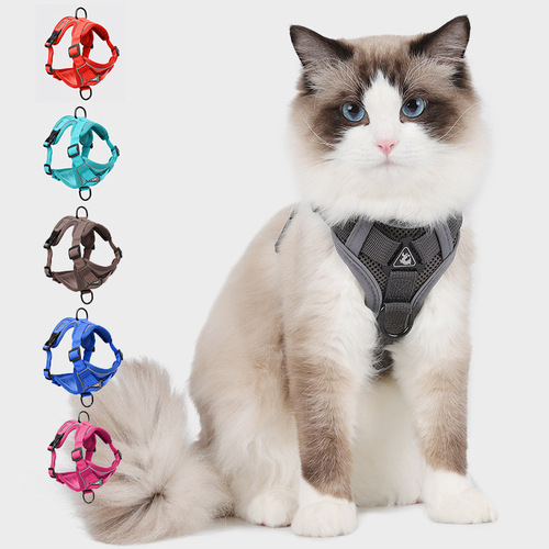 Cross-border new dog leash vest-style harness reflective breathable cat leash dog leash cat leash