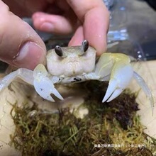 ���Aɳз����з�^�p�з�ľ�зɳз�����з����з��܊з����з