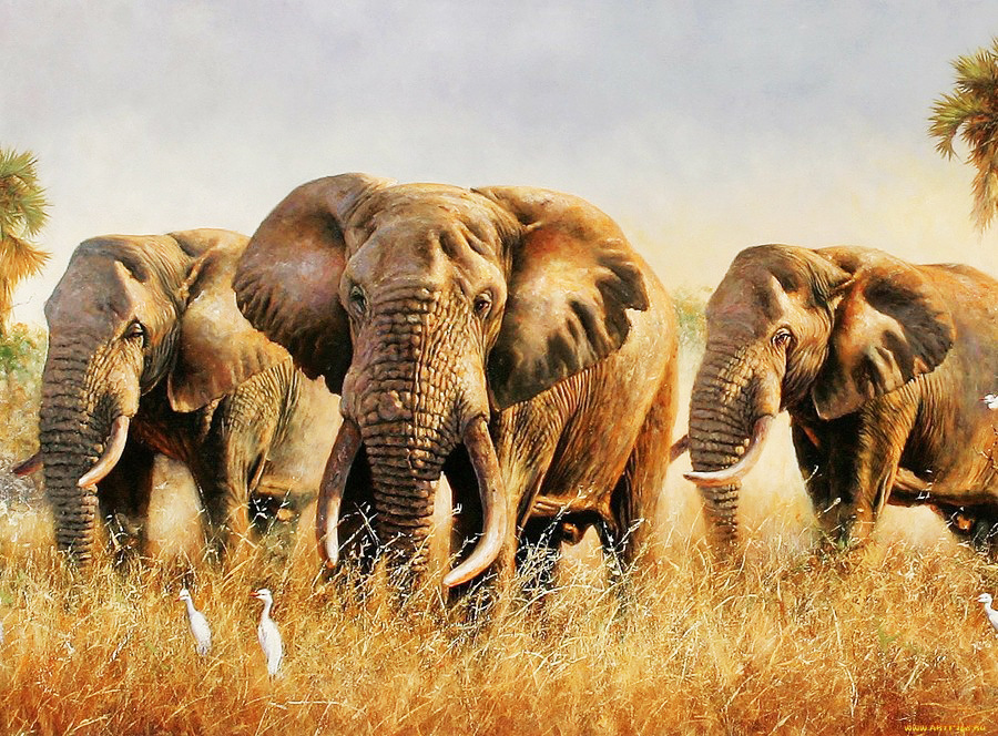 Cross-border 5d Amazon diamante pintura pegatinas hecho a mano DIY animal ladrillo pintura sala de estar pintura decorativa pegatinas al por mayor