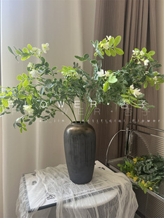 ����Gֲ�G�~��֦�����~�����������SС��ܛ�b��������~���͸��~