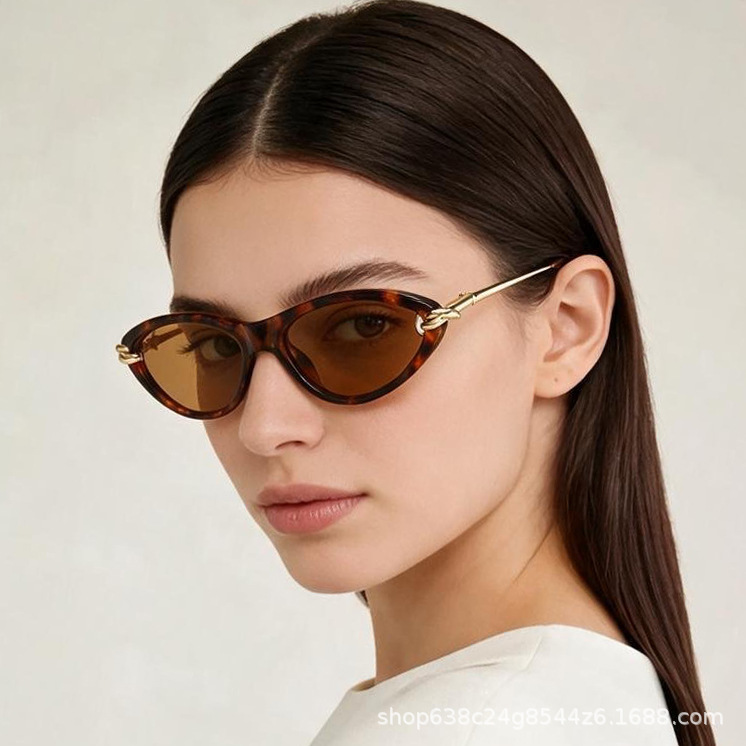 Women's Cat-Eye Sunglasses, High-End 2026 New Model, Ins Internet Celebrity European and American Fashion, Designer Sunglasses, In Stock