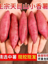 �R����ĿɽС������Ş��ĴָС�t�����r�عϰ���ɽ����5������