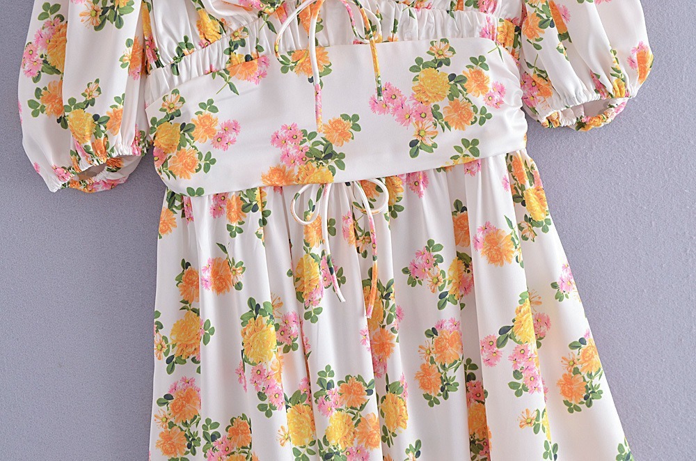 Floral Print Puff Sleeve Backless A-Line Dress NSXDX117350