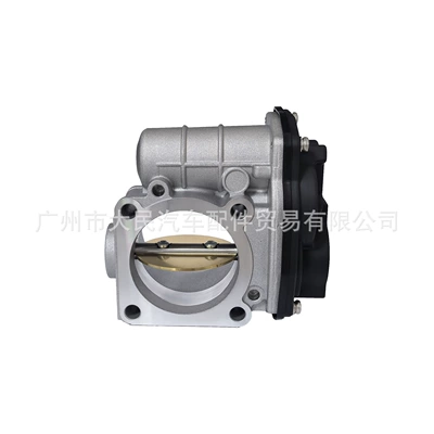 8980400030 Throttle Body Assembly, Electronic Drossel