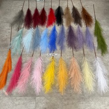 ����7�^�����ɫ�JȔ���� �����䁟��� �̈�������ꐟ���������