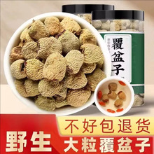 șƬ500gșƷٷŞҰؼݲˮɣز