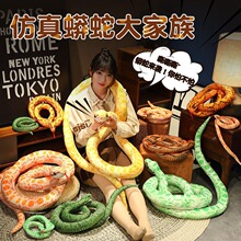�羳���l������ë�q������������ː�����߹�����Ф�߶Y�ﻨ����