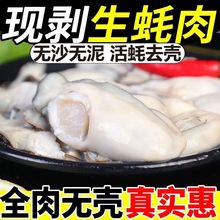 新鲜生蚝肉鲜活现剥去壳海鲜即食原浆海蛎子牡蛎肉包邮跨境独立站