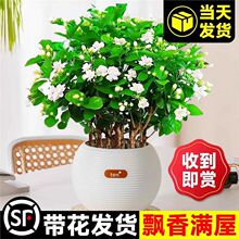 ���������Ԏ������������Ϙ����ˮ���d�ӻ��ܾGֲ���҃��ļ��_