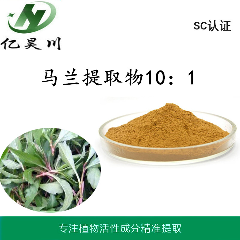 马兰提取物10:1 马兰草提取物 全水溶马兰粉厂家包邮现货量大从优