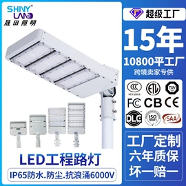 工矿灯;路灯;投光灯