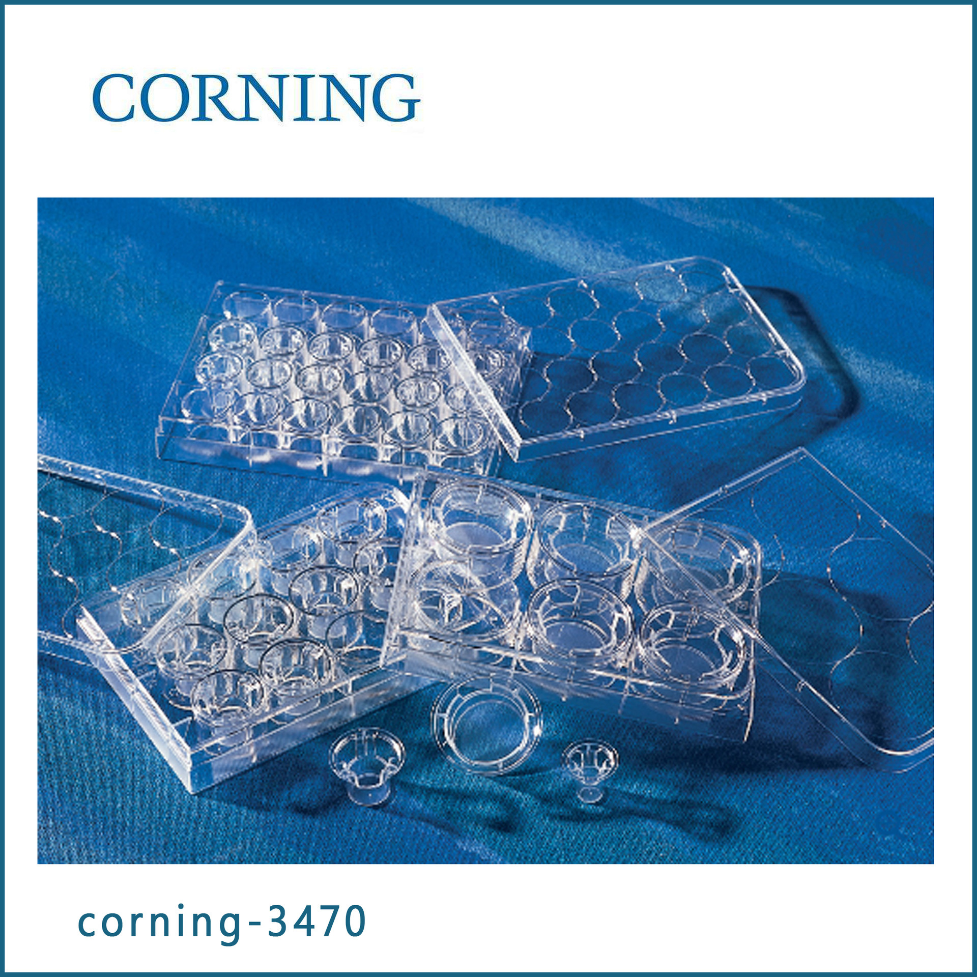 康宁Corning 3470 Transwell嵌套 (带聚脂膜6.5mm 0.4um)