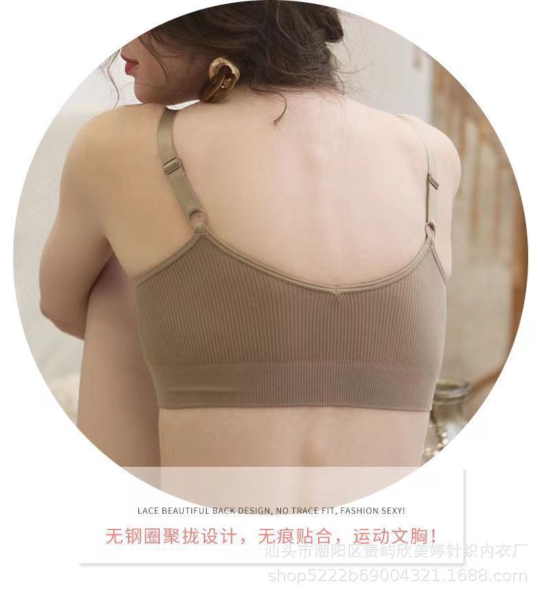 微信图片_20230329203540.jpg?x-oss-process=image/format,png
