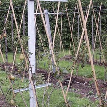 �F؛���� С��U���� �S��ֱ�N ��Ҏ���U�����l  ����ă�