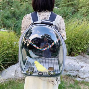 �B���W�^��y�⎧�\�����P��Ƥ͸������B�\���B��̫�մ�̖����