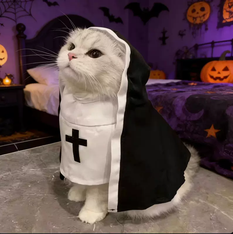 Cat costume, pet clothing, summer thin and breathable, funny cosplay photo prop, popular among influencers on Instagram, suitable for small and medium-sized cats