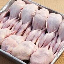 ��Ѫɢ�Bĸ�g��ȥ�����K���r����חl�g������ը�����Ҝ����l����