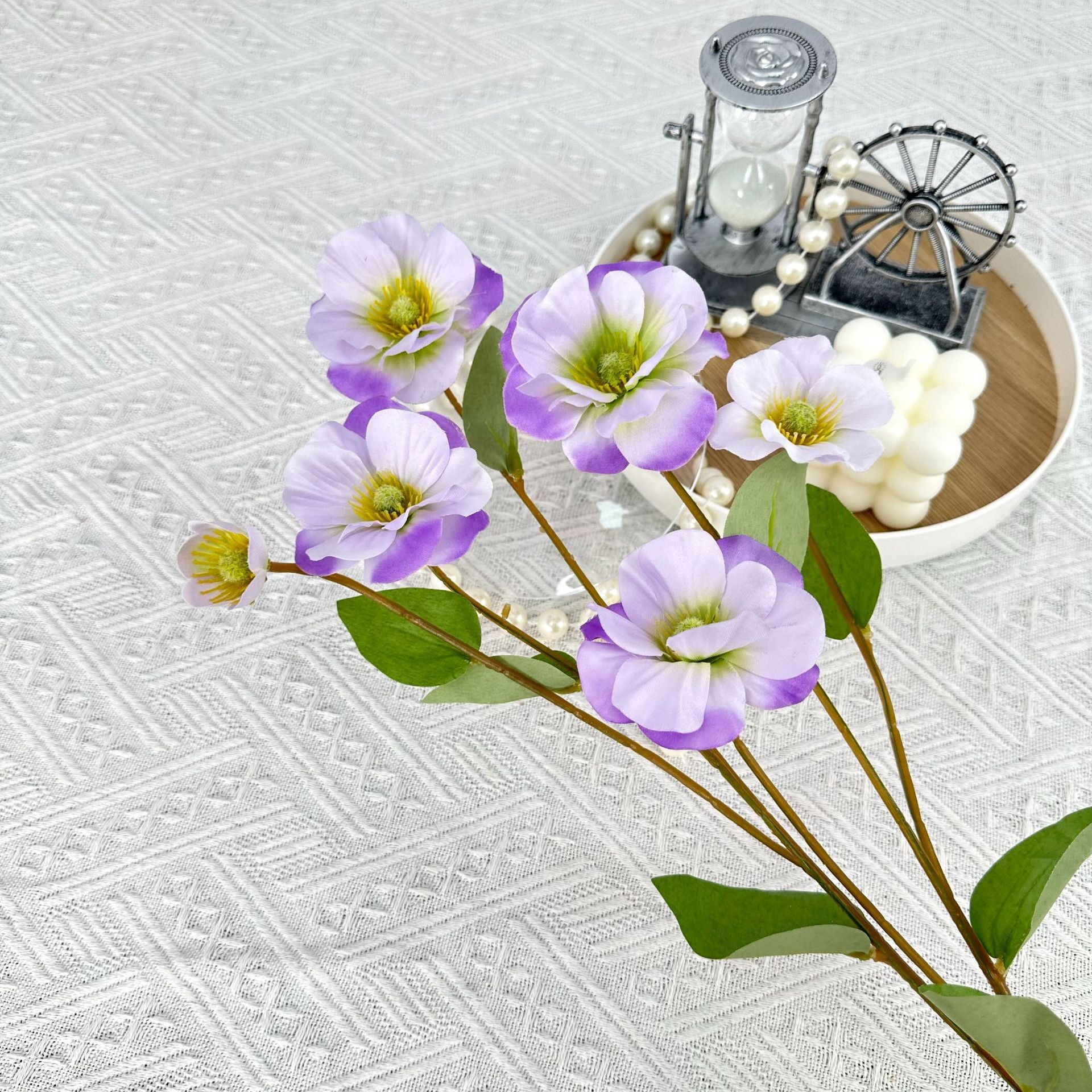 연보라색 6두 나비꽃
