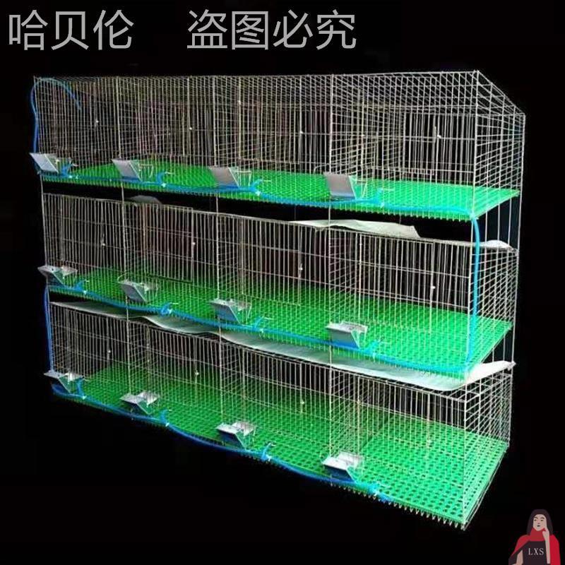肉兔养殖笼荷兰猪笼子笼母兔笼子粪兔免子母大兔笼免清新型笼繁殖