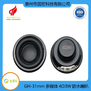 GH-31ǻ�wС����4&Omega;3WҺ���@ʾ���ҕ�V��C��Ħ�ΓP������