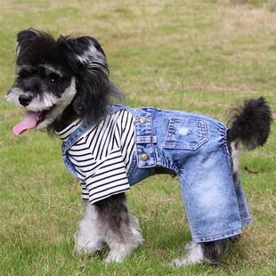 �羳�¿��ѝ ����ţ��ѝ�ƶ� С���·��ٴ�̩�ϱ���ѩ�{�����Q