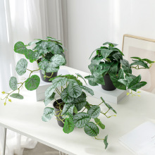 ����Ҿ��b��������Է���G�}ֲ���辰��܇ԡ����@���ȏd���b��