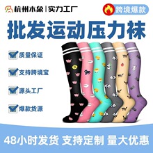 ���x���u�W�������m�����\�����������m��������С���m�S�����l