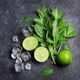 Mint Seed Potted Edible Mint Seedlings to Repel Mosquitoes and Spearmint Balcony Sowing Catmint Seeds in All Seasons