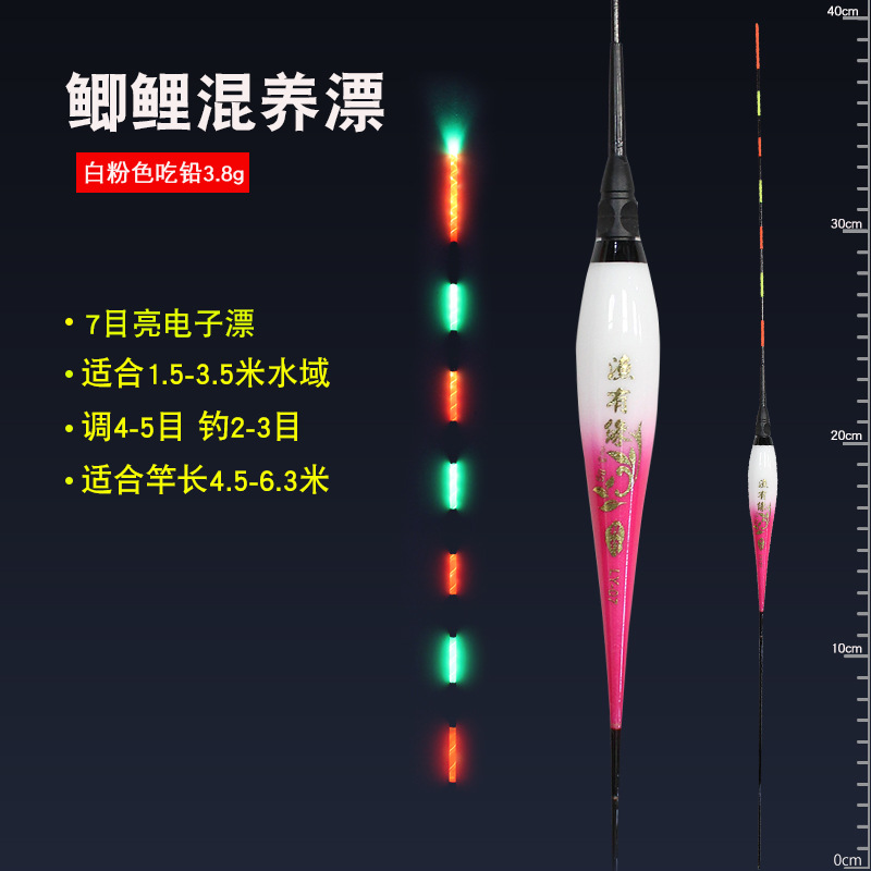 electronic buoy for fishing