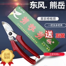 �|��������֦��ʡ����ľ�ޘ�֦����֦�޻��@ˇ��������