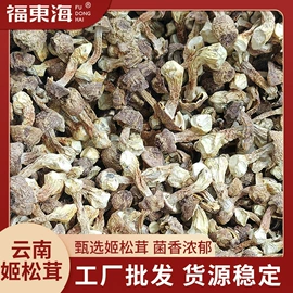 其他滋补;代用/养生茶;非处方滋补膏