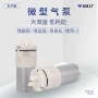 微型27gpm370按摩器气泵