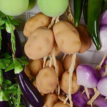 �߲˴����������״��⻨���r�Ҙ��ͥԺģ���b��ߒ����l