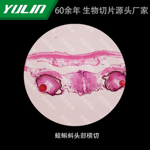 ������^���M�и�У�t�WԺУ�ýM������ʯϞ��Ƭ�˱��@΢�R