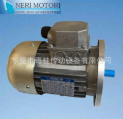 代理销售意大利NERI  变频电机T50B4 0.09KW