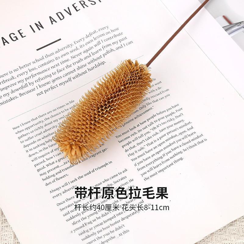 막대가 있는 오리지널 컬러 브러시드 과일