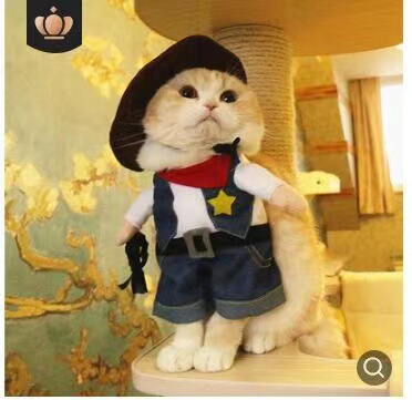 Cats and dogs funny pets upright transformation clothes cat clothes dogs funny cats British short cute summer clothes thin style