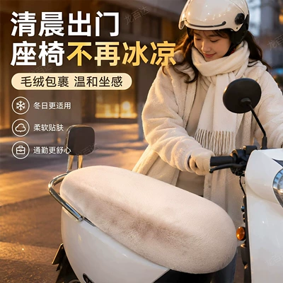 Electric car cushion – cover