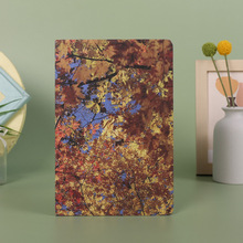 ���sӛ��܇����A5A6��ɫ���b�� �W���Pӛ���k�����h���ӏS�����l