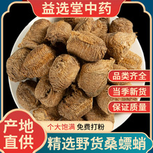 ���xɣ�����ș�� ��Ʒ�|�oѬ���؛ɣ��� ��뵰������ɣ��ٷ�