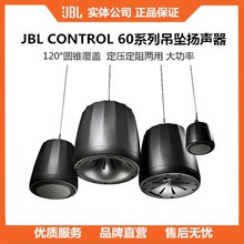 适用JBL CONTROL62P 65P/T 67P/T悬挂吊球音箱高保真吊挂全频喇叭