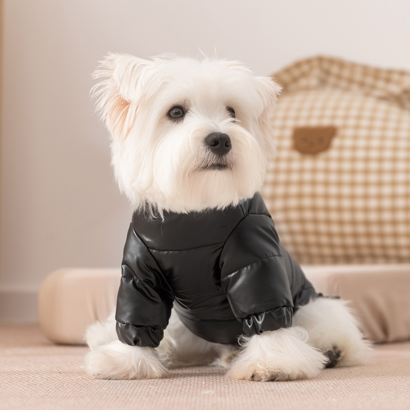 Ropa de mascotas de otoño y invierno, chaqueta de plumón de dos patas gruesa y cálida, perros pequeños y medianos pueden traer perros, gatos, trajes de oso