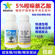 5%吲哚乙萘乙酸调节剂花卉林木月季杨树桉树扦插移栽生根液剂100g