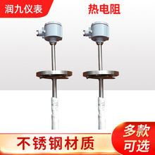 廠家供應WZGPK-73型裝配式pt100 PT10熱電阻法蘭式鉑熱電阻隔爆型