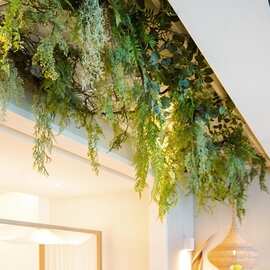 海虹景观绿植壁挂藤条室内吊顶垂吊绿色植物波斯蕨类墙壁装饰