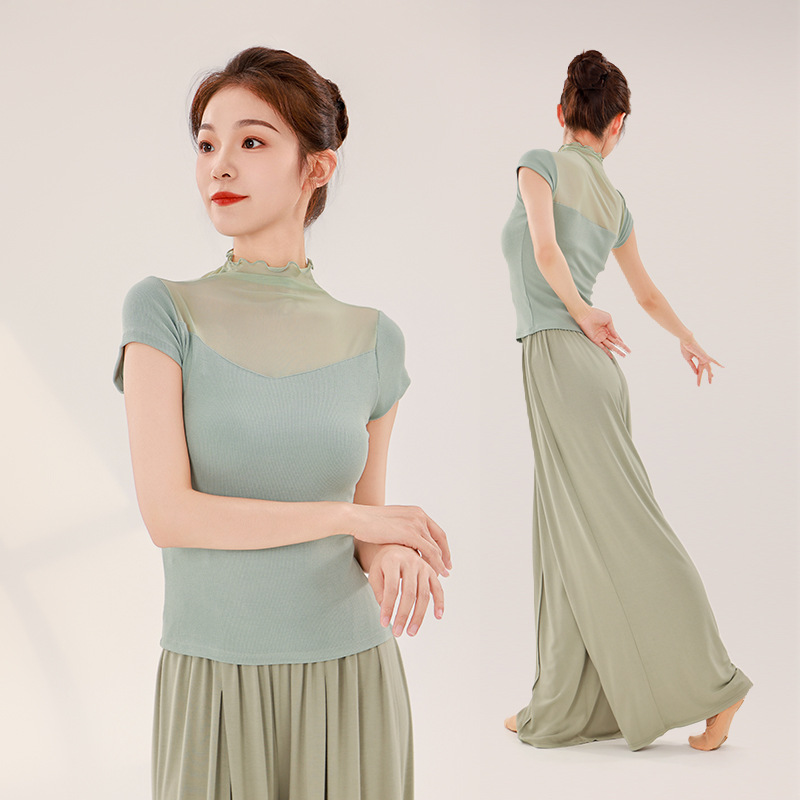 Adult Dance Suit Women's Modern Dance Practice Suit Adult Chinese Classical Practice Performance Mesh Stitching Short Sleeve Top
