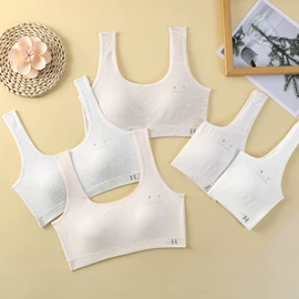 少女文胸;裹胸、抹胸;女士背心