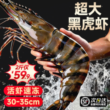 �ڻ��r8-10ֻ|���r����ϻ��r�ك��ش��r�����r�r�r���r���