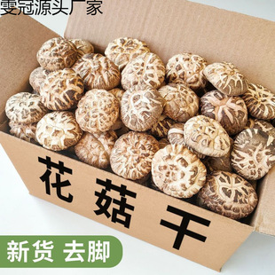 �㹽�󻨹��o����؛�r���خa�ɼ��_����������Ģ����؛���l